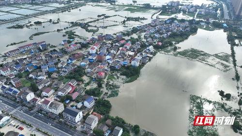 汨罗最新爆料事件新闻,事件真相浮出水面,真相令人震惊